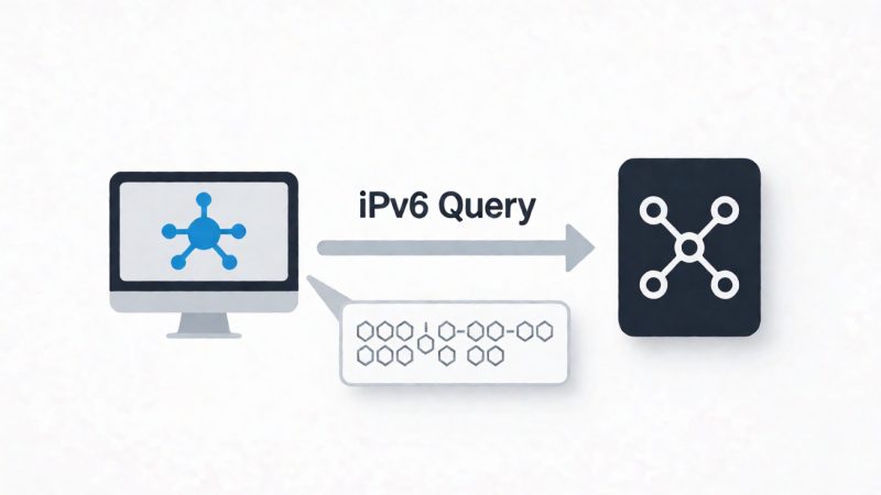 ipv6查询 示意图